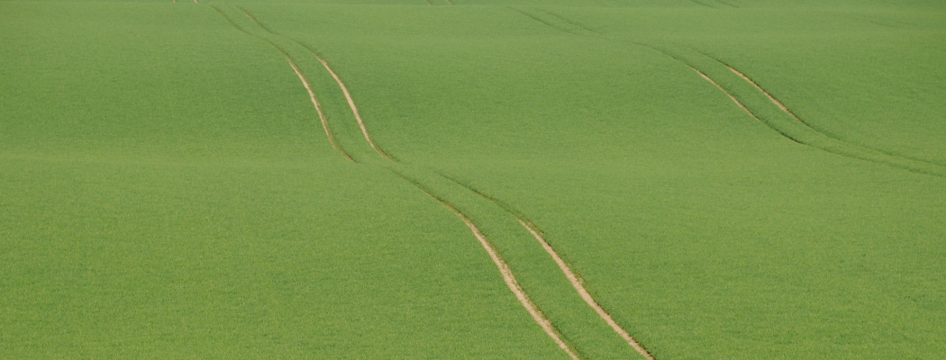 Bildbeschreibung fehlt